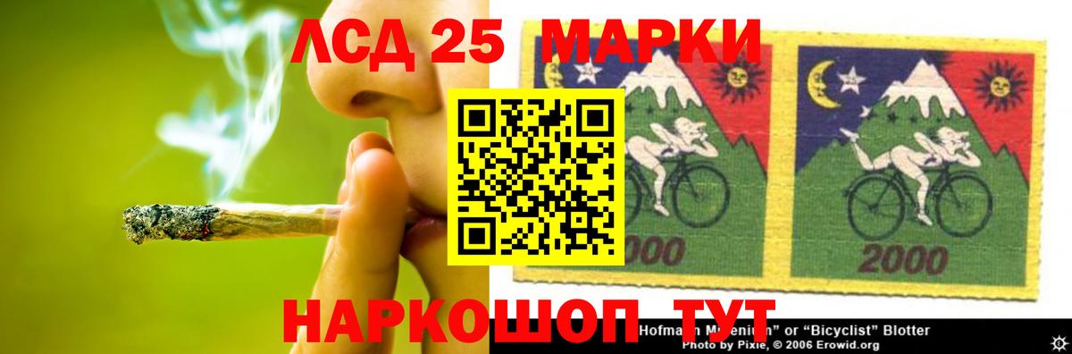 Псилоцибиновые грибы Барнаул